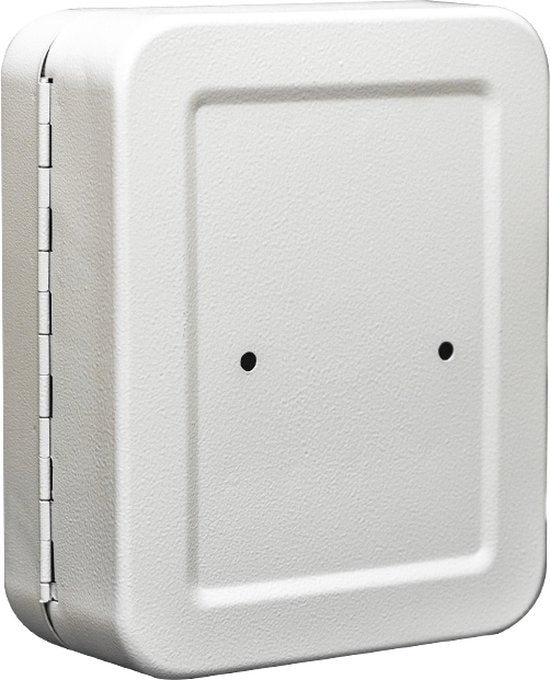 BRASQ Armoire à clés - 16x20x7,5 cm - Coffre à clés - Boîte à clés - Avec serrure cylindrique - 20 crochets pour clés - KC100 - Gris