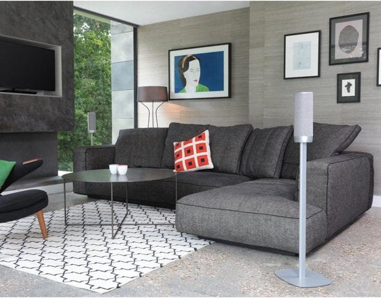 SoundXtra CTSR-FS Gris