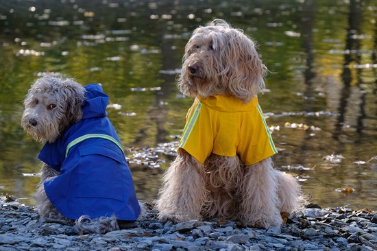 Dutchwide - Manteau pour chien - Imperméable pour chien - Bleu - Taille S