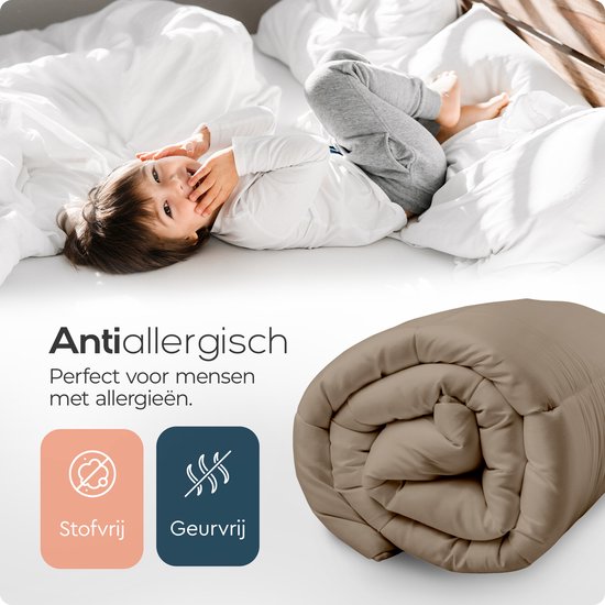Sleeptime 2 in 1 Duvet - Couette sans housse avec taies d'oreiller - 200x200 - Taupe