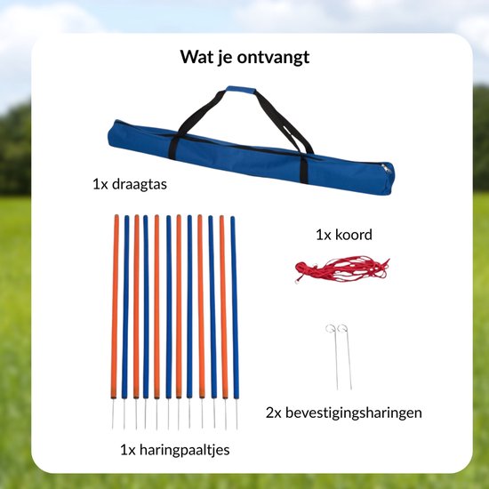Set de slalom pour chien 12 pièces - Agility - hauteur 98 cm - set d'agility - set d'agility pour chien - slalom - set d'agility pour chien - set d'agility