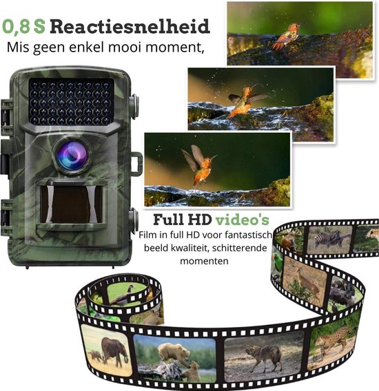 CAMUX Caméra professionnelle pour animaux sauvages 16MP avec vision nocturne - Caméra pour animaux sauvages - Carte SD 32GB incluse