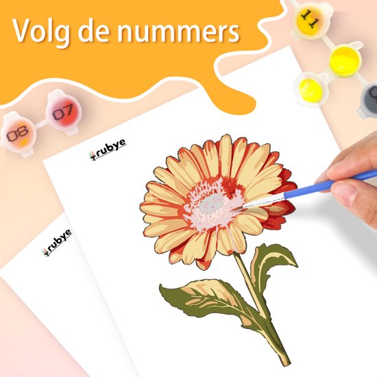 Rubye® Painting On Number Adults - Rose & Sunflower - Comprend la peinture et les pinceaux - Canvas Painting canvas - Colours at Number - Double Set - 15x20cm