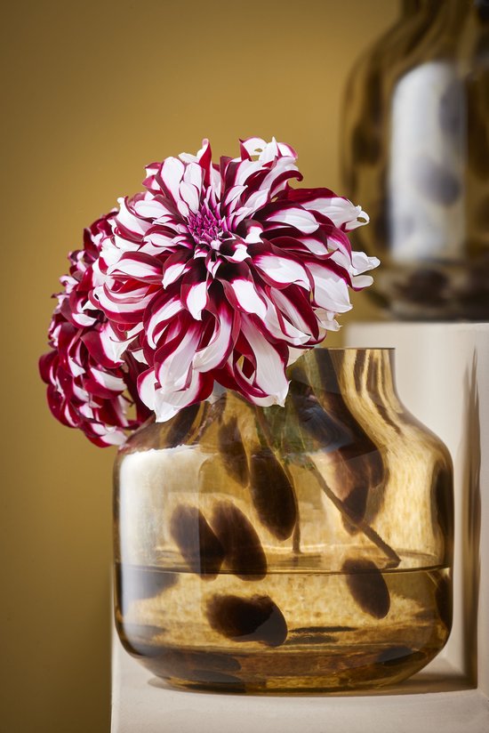 Vase Mica Decorations Pantera - H27 x Ø26 cm - Brun