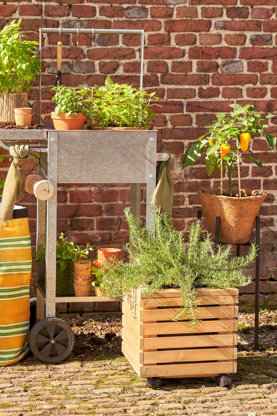 Mica Decorations Glenwood Jardinière carrée sur roues pour extérieur - L35 x L35 x H35 cm - Bois d'acacia - Marron