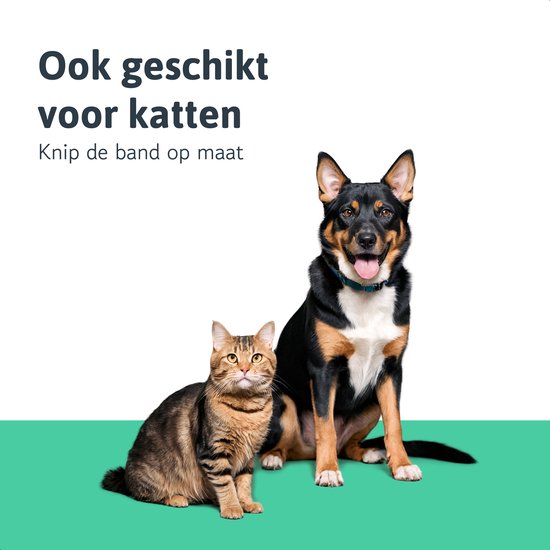 Dutchwide Collier anti-tiques et anti-puces pour chat et chien - Respectueux des animaux - Convient aux chats, chiens et chatons - Taille unique