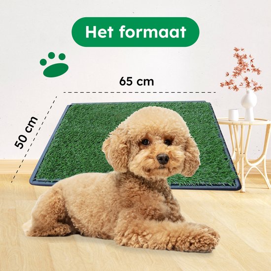 Gtrise Toilette pour chien avec 2 tapis - extérieur/intérieur - toilet training Ebook - Animal Toilet