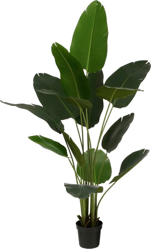 Bananier Artificiel en Pot - Mica Decorations - H180 x Ø30 cm - Vert