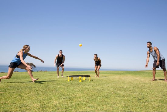 Spikeball Set standard
