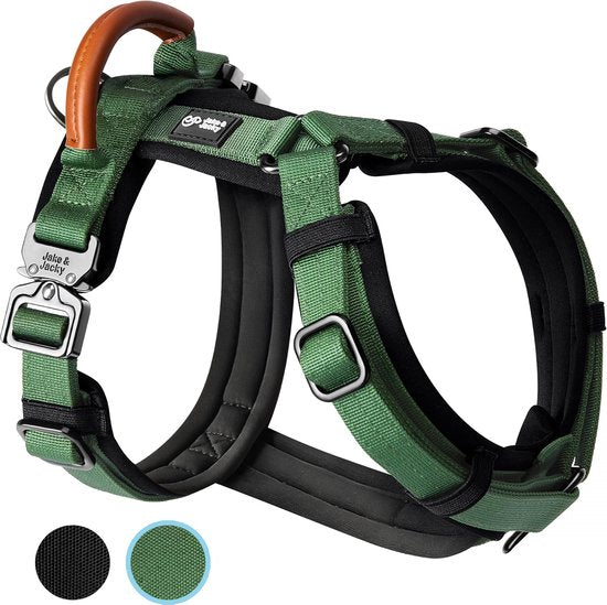 Harnais Jake et Jacky pour petit chien - Harnais anti-traction - Harnais pour chat - Harnais Y pour chien - Harnais pour petit chien - Harnais pour chat - Vert - Taille XS