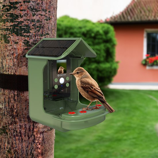 Nichoir avec caméra intégrée - Denver - Full HD - 12MP - Photo et Video - Mangeoire d'oiseaux - Angle de vue de 100 degrés - BFC1200 - Vert