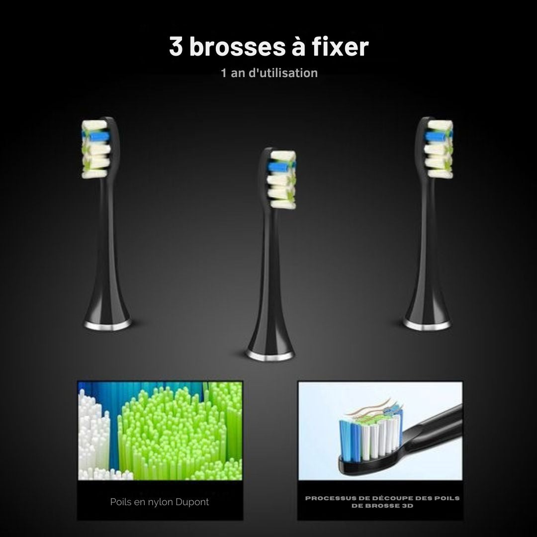 Têtes de brosse à dents électrique - Bintoi® iSonic ProClean - 3 pièces - Convient à Bintoi iSonic D700/D600 - Approvisionnement annuel - Noir