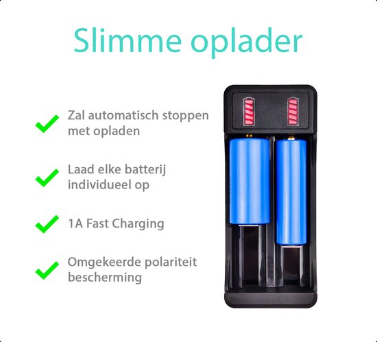 Tech Essentials 2 Slots 18650 Charger With 2x 18650 Batteries 2600mAh 3.7V - 7.8A - USB-C - Li-ion 3.7V - Lithium - Holder - Battery