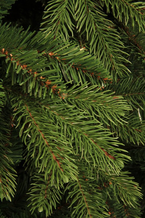 Black Box Trees Brampton Artificial Christmas Tree - H155 x Ø107 cm - Vert