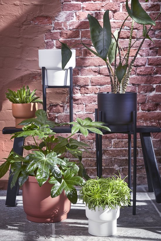 Mica Decorations Ascot Plant Stand XL - L38 x L38 x H71 cm - Métal - Noir