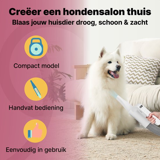 Jake and Jacky Professional Dog Hair Dryer - Souffleur d'eau pour chien - avec 4 accessoires - Séchoir pour chien - Design silencieux