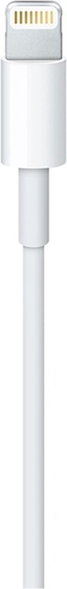 Câble USB-C vers Lightning Apple Original - 100 cm