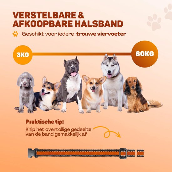 Vulpes Goods® Collier anti-aboiement Pro avec télécommande - Dispositif anti-aboiement - Collier de dressage 3-en-1 - Sans choc - Collier d'éducation pour petits et grands chiens - Imperméable - Rechargeable - Vibration et Audio