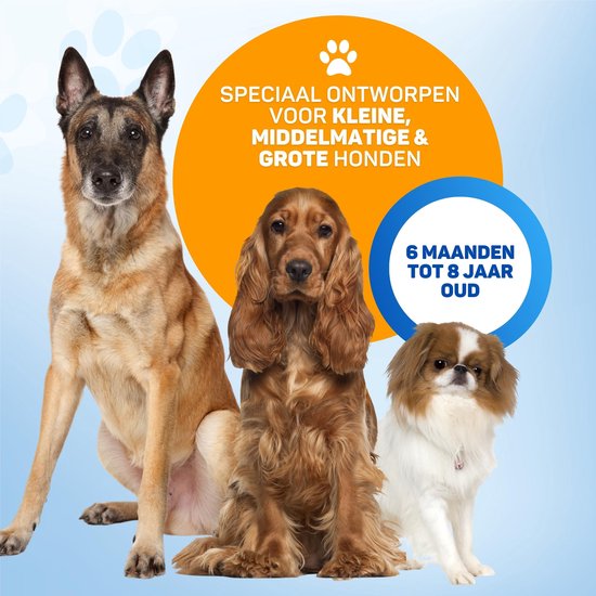 Vulpes Goods® Dispositif anti-aboiement à ultrasons - Dispositif anti-aboiement 4-en-1 Max - Sans choc - Collier anti-aboiement alternatif - pour petits et grands chiens - Audio - Lampe de poche - Lampe de poche - Rechargeable par USB