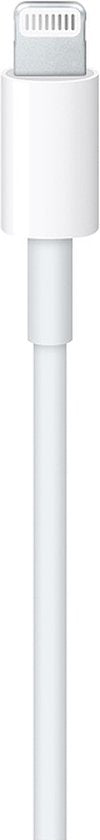 Câble USB-C vers Lightning Apple Original - 100 cm