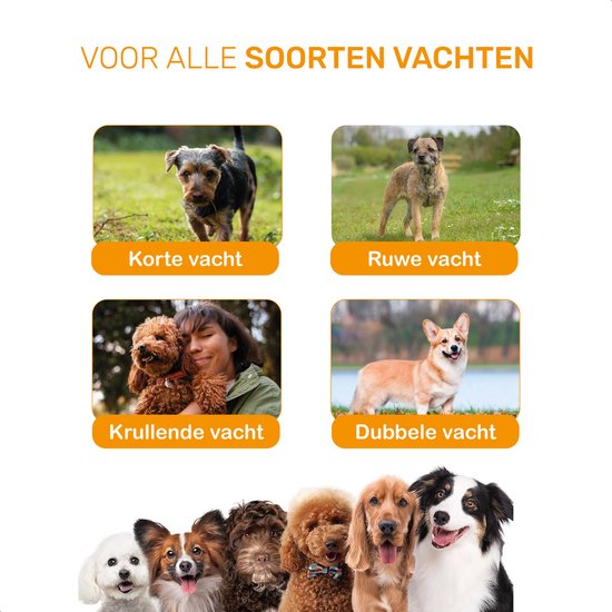 Dutchwide Tondeuse pour chiens et chats - Pour poils épais - Tondeuse silencieuse - Sans fil - Kit de toilettage pour animaux - Tondeuse pour chiens - Tables de coupe pour chiens - Tondeuse