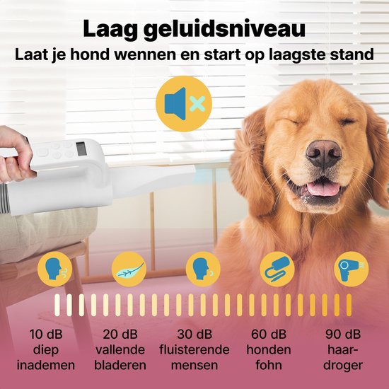 Jake and Jacky Professional Dog Hair Dryer - Souffleur d'eau pour chien - avec 4 accessoires - Séchoir pour chien - Design silencieux