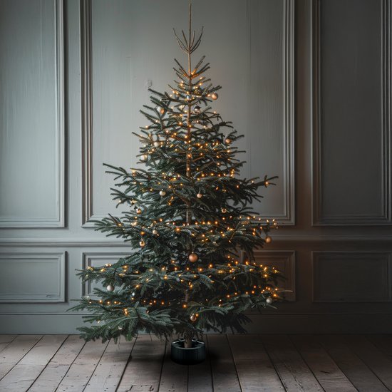 Support de sapin de Noël Arti Casa - Base de sapin de Noël pour vrai sapin de Noël - Support de sapin de Noël pour l'intérieur - Troncs entre 35 - 130 mm