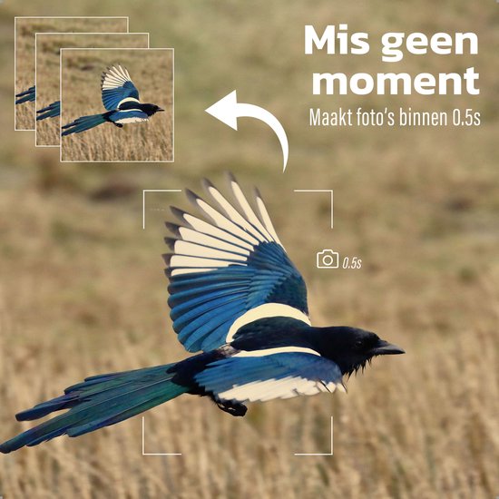 EarthVision Wildlife Camera Falcon - Vision nocturne - Caméra professionnelle 4K pour animaux sauvages - Caméra infrarouge - Caméra d'extérieur - Carte SD 32gb incluse - Étanche