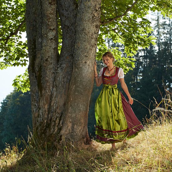 dressforfun - Maxi-dirndl Ruhpolding modèle 1 M - déguisement costume halloween déguisement fête carnaval déguisement fête carnaval - 302916