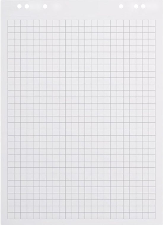 BRASQ Papier pour tableaux de conférence - 65x98cm - vierge/rugueux - 80g - feuilles pour tableaux de conférence - 50 feuilles - Feuilles vierges