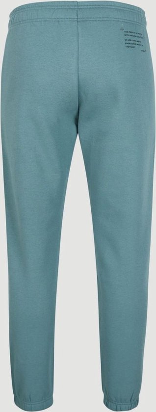O'neill Trousers FUTURE SURF JOGGER