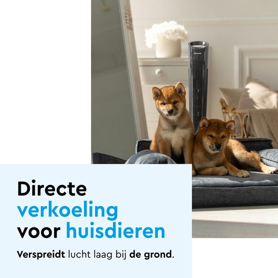 BRASQ Ventilateur de tour F500 - 80 cm de haut - noir - silencieux - avec télécommande - minuterie et mode veille - ventilateur de sol - 50W - pour chambre à coucher et bureau