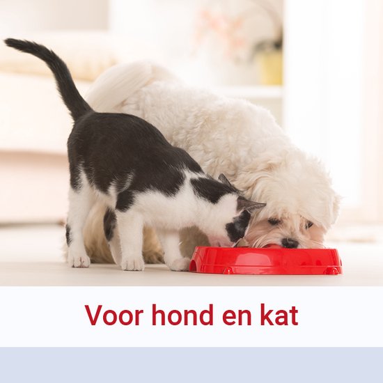 Pharmox Dog & Cat Glucosamine 1000 ml - Important élément de construction pour les chiens et les chats