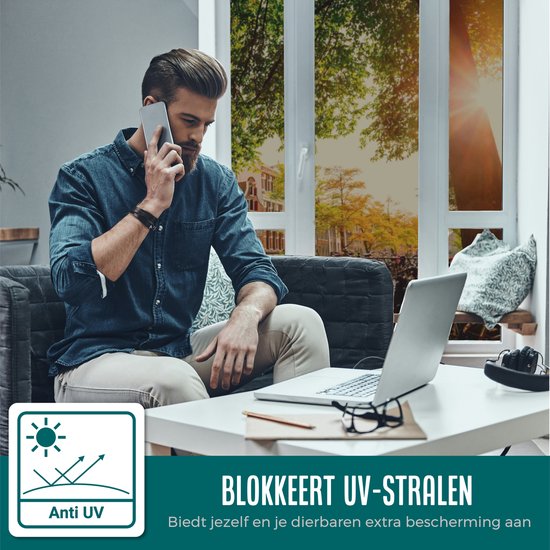 Homewell Film isolant HR+ pour fenêtres 70x300cm - Film solaire statique avec effet miroir - Argent (incl. Rakel)