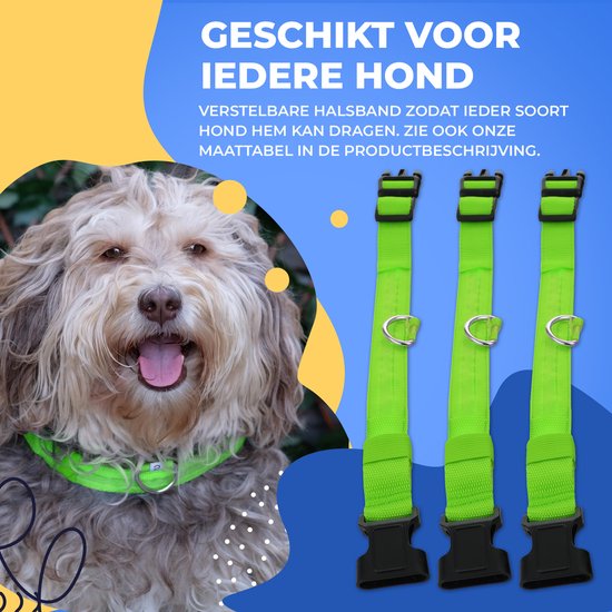 Dutchwide Collier lumineux pour chien - Extra fort - L 41 cm à 52 cm - Collier pour chien - Collier à mousqueton - Ajustable - Réfléchissant