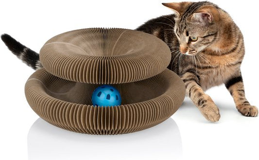 maxxpro Jouets pour chats - Carton à gratter - Herbe à chat - Balle de jeu