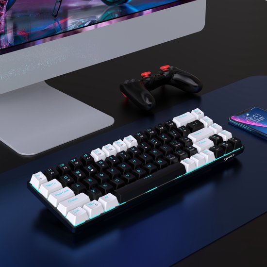 HXSJ V800 - Clavier de jeu filaire - RGB - Mécanique - Claviers QWERTY - 68 touches - Interrupteur bleu - Noir Blanc