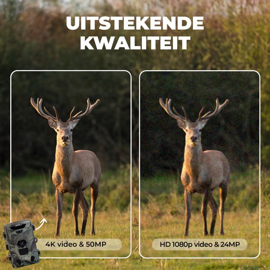 Denver Caméra de Chasse avec Vision Nocturne - 4K Ultra HD - 50MP - Écran LCD - Étanche - WCT8016