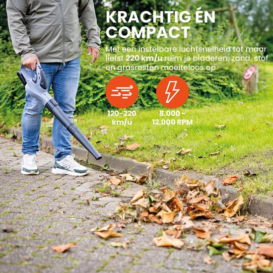 QLT Battery Leaf Blower with Charger - Outil de jardinage léger et puissant pour les feuilles, la poussière et l'herbe coupée - 12V
