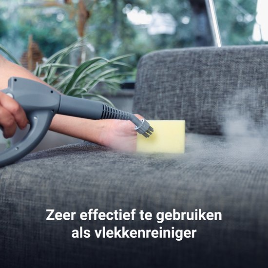 Techweise 16-in-1 Steam Cleaner - 45 minutes de vapeur - 4 bars - Nettoyeur de tapis - Machine à nettoyer - Nettoyeur de taches