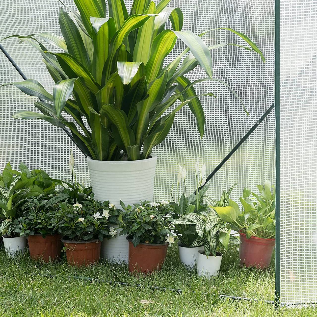 Woltu Foil Greenhouse White/Green - Serre PE semi-transparente - 200 x 77 x 146/169 cm