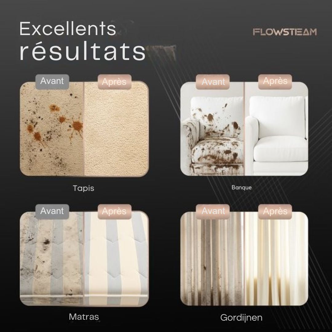Nettoyeur de tapis 6 en 1 - FLOWSTEAM® - Nettoyeur de taches - sièges - Vapeur à 100°C - 4 modes de vapeur - 90 minutes de vapeur - Cordon de 5M - blanc/noir