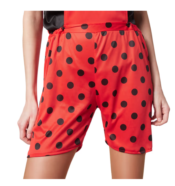 DressForFun - Costume de coccinelle Marina - Taille S - Polyester rouge et noir - Pantalon et T-shirt de jardin à pois - Jambières et ornement de cheveux inclus - Costume de carnaval pour dames