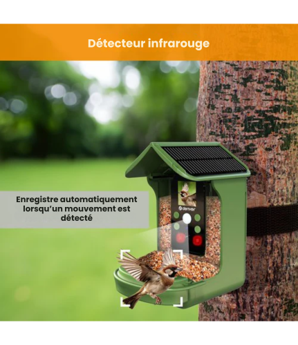Nichoir avec caméra intégrée - Denver - Full HD - 12MP - Photo et Video - Mangeoire d'oiseaux - Angle de vue de 100 degrés - BFC1200 - Vert