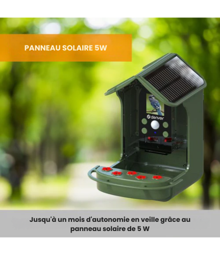 Nichoir avec caméra intégrée - Denver - Full HD - 12MP - Photo et Video - Mangeoire d'oiseaux - Angle de vue de 100 degrés - BFC1200 - Vert