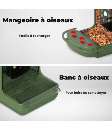 Nichoir avec caméra intégrée - Denver - Full HD - 12MP - Photo et Video - Mangeoire d'oiseaux - Angle de vue de 100 degrés - BFC1200 - Vert