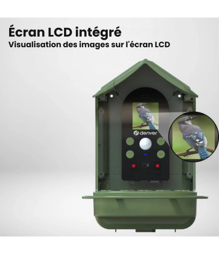 Nichoir avec caméra intégrée - Denver - Full HD - 12MP - Photo et Video - Mangeoire d'oiseaux - Angle de vue de 100 degrés - BFC1200 - Vert