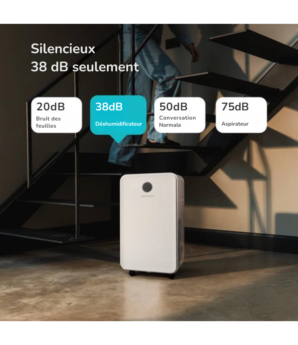 Déshumidificateur Bloomfold - 16L par jour - Fonction Lavage-Séchage incluse - Convient pour le salon, la chambre, le sous-sol et la salle de bain - Déshumidificateur - Blanc