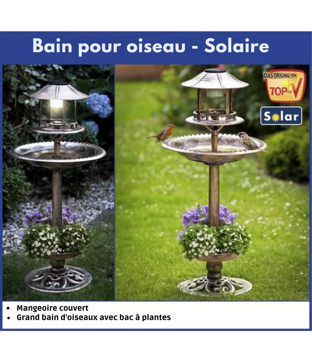 Bain d'oiseaux pour éxtérieur - Merkloos - Energie solaire - avec jardinière