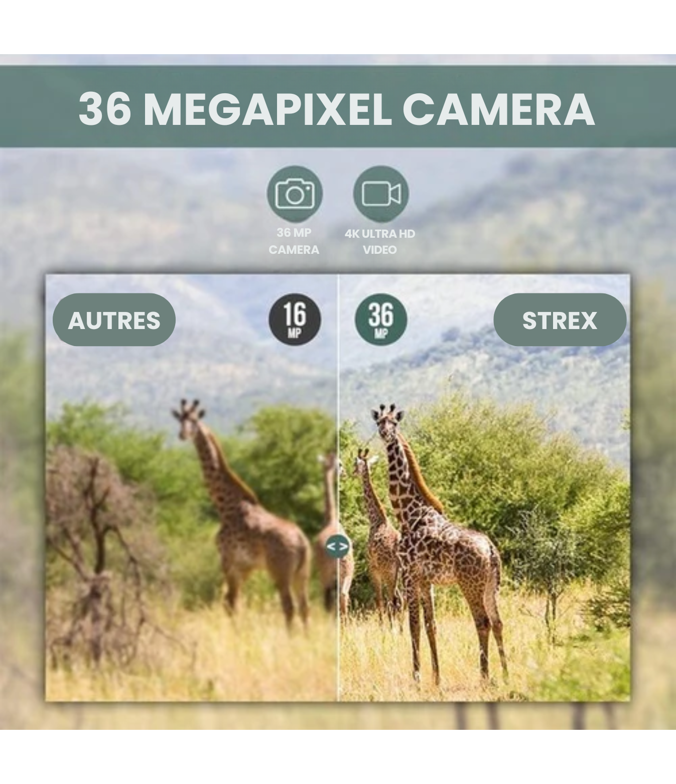 Strex - Wildlife Camera - avec vision nocturne - 36MP 4K ULTRA HD - Waterproof - Incl. 32 GB SD - Wildlife Camera